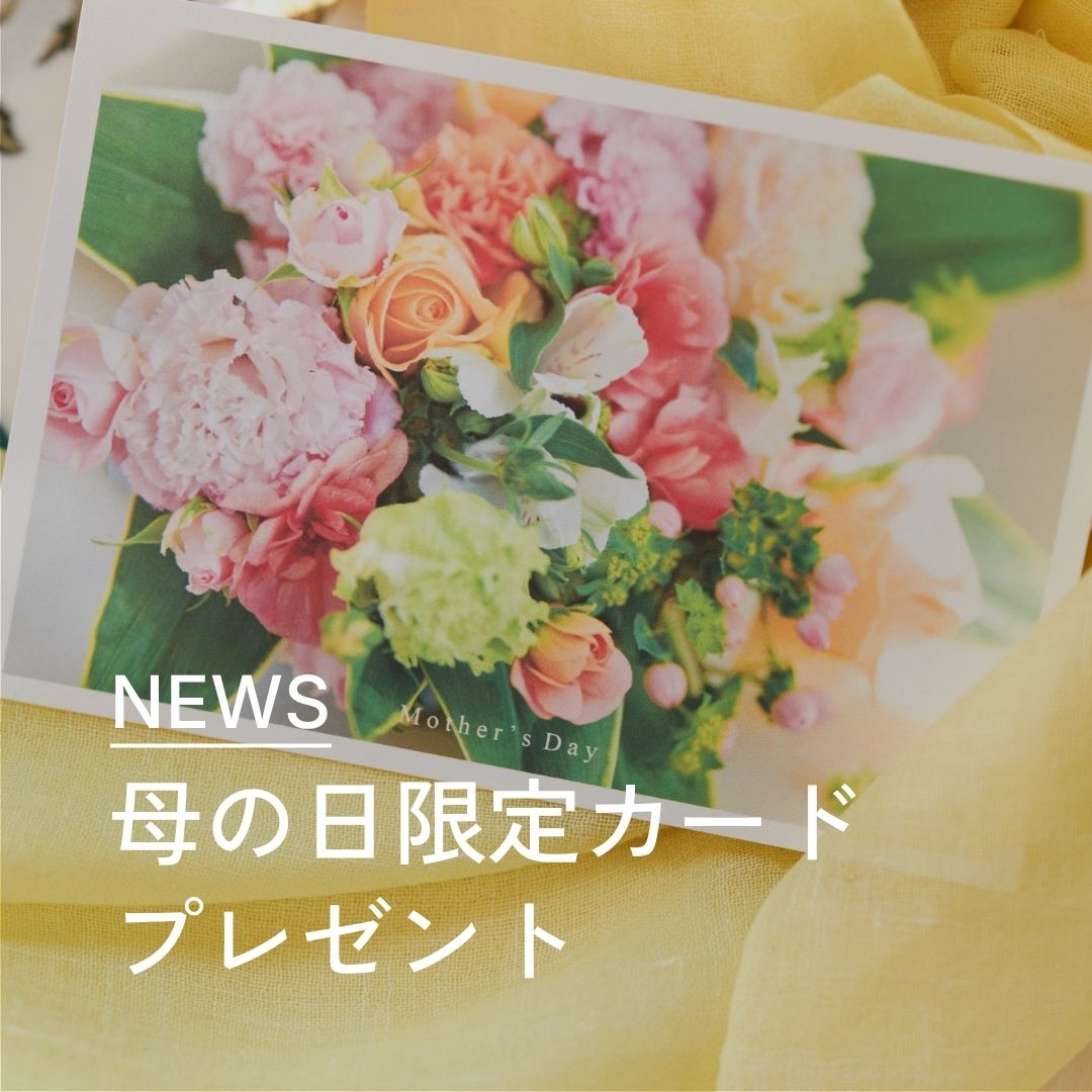 母の日限定カード